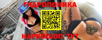 индика Мариинск