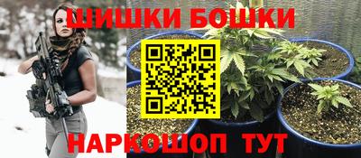 индика Мариинск