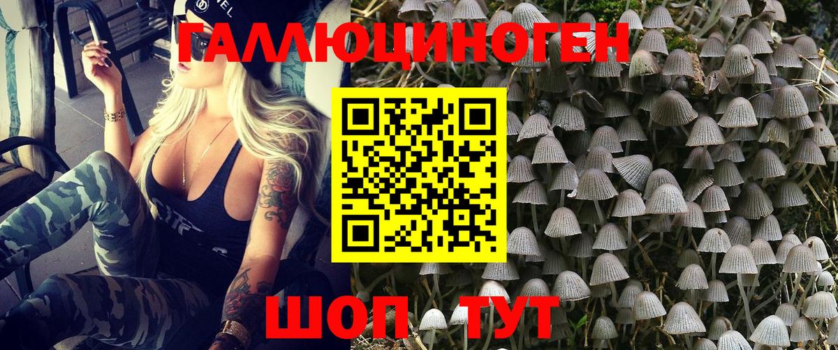 Галлюциногенные грибы GOLDEN TEACHER Ханты-Мансийск