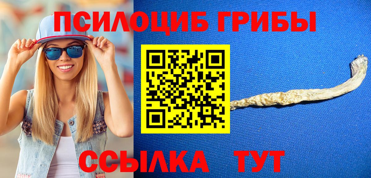 Псилоцибиновые грибы Psilocybine cubensis  Вход с VPN  Ханты-Мансийск 